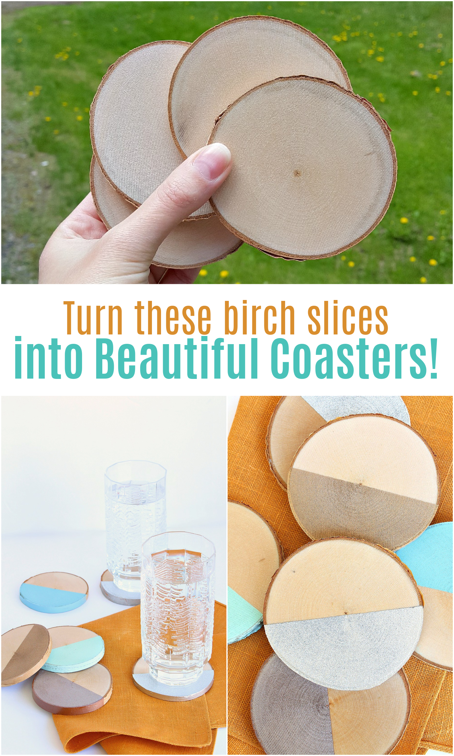 DIY Birch Slice Coasters