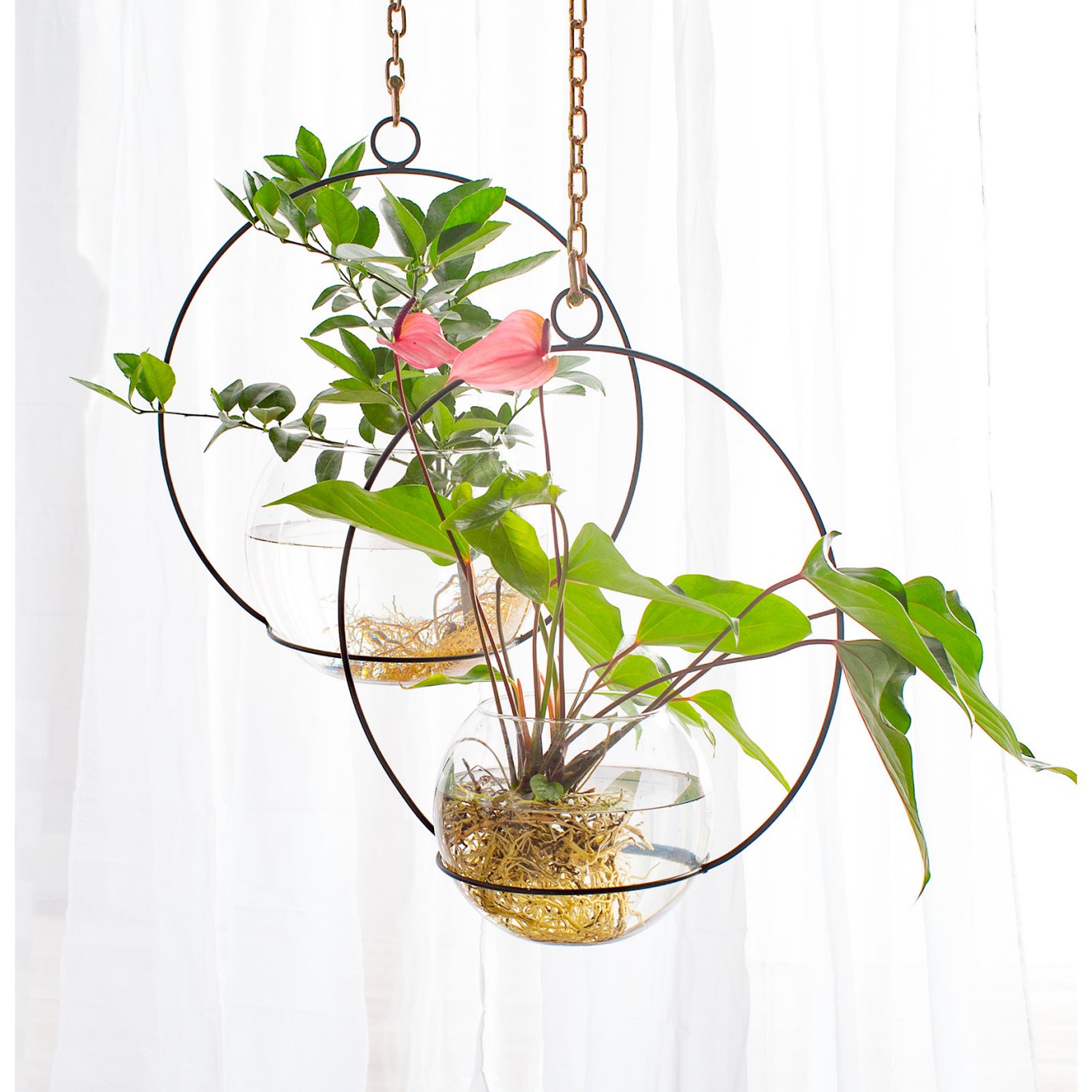 Where to Buy Hanging Hoop Planters