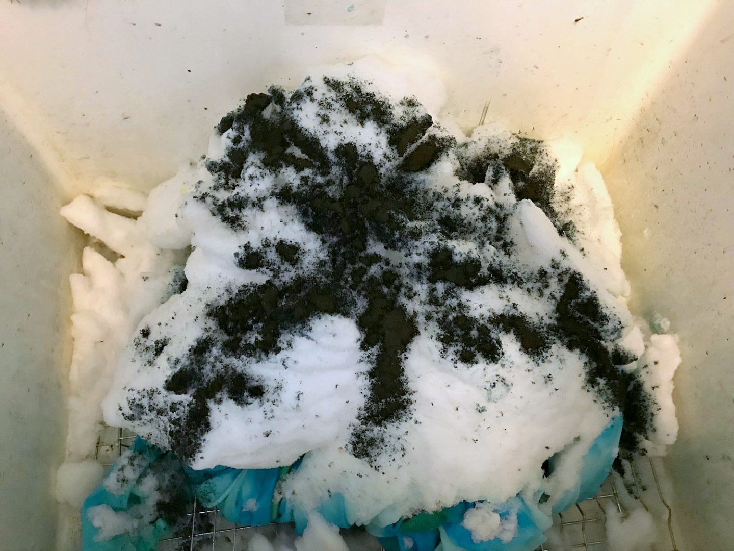 Using Snow to Dye Fabric 