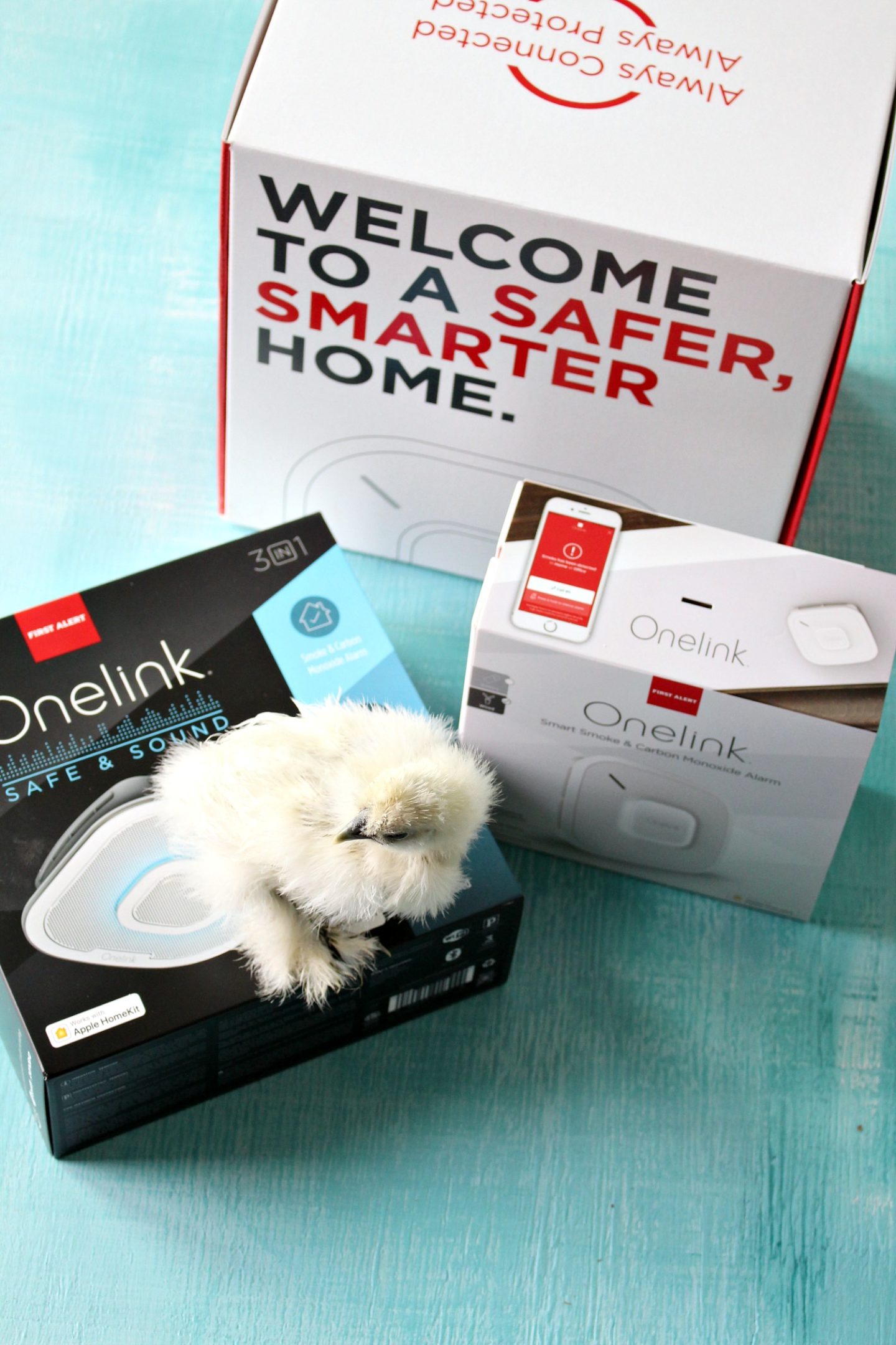 A Smarter Smoke Detector: Onelink by First Alert Review