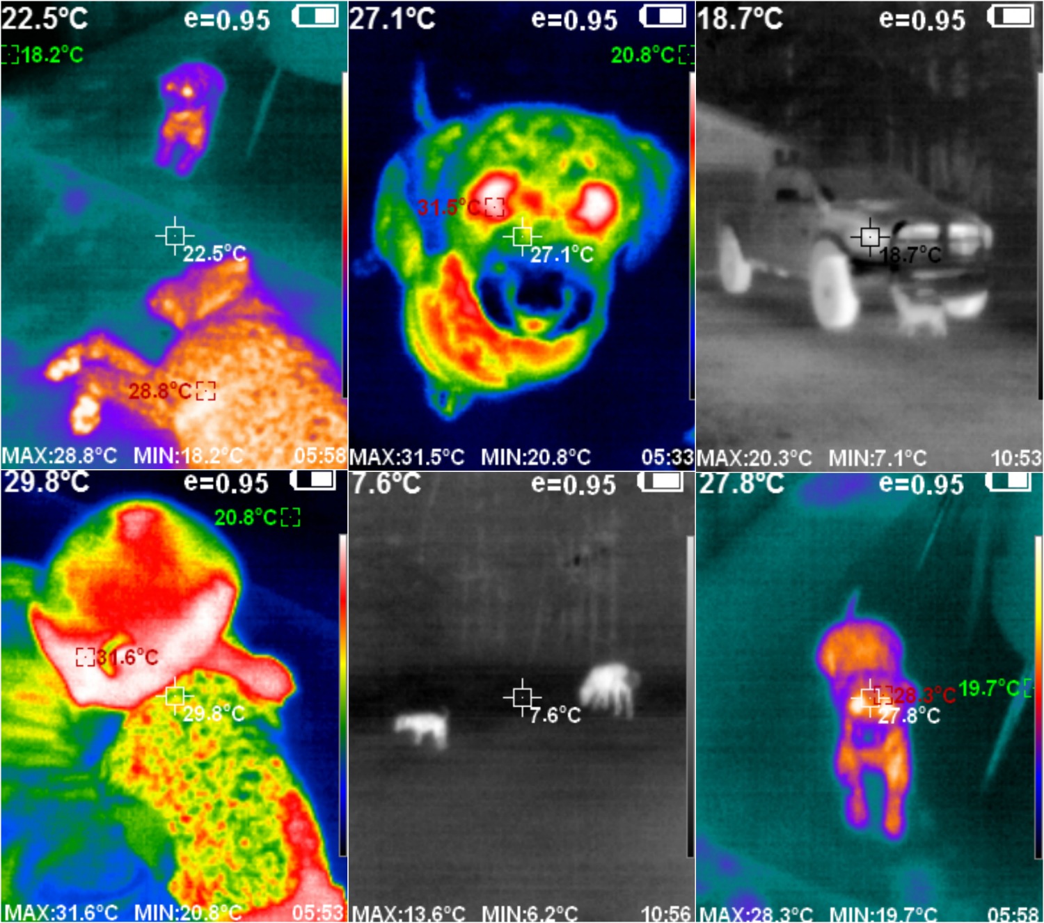 How an IR Camera Can Save You Money & Keep Your Family Safe ...