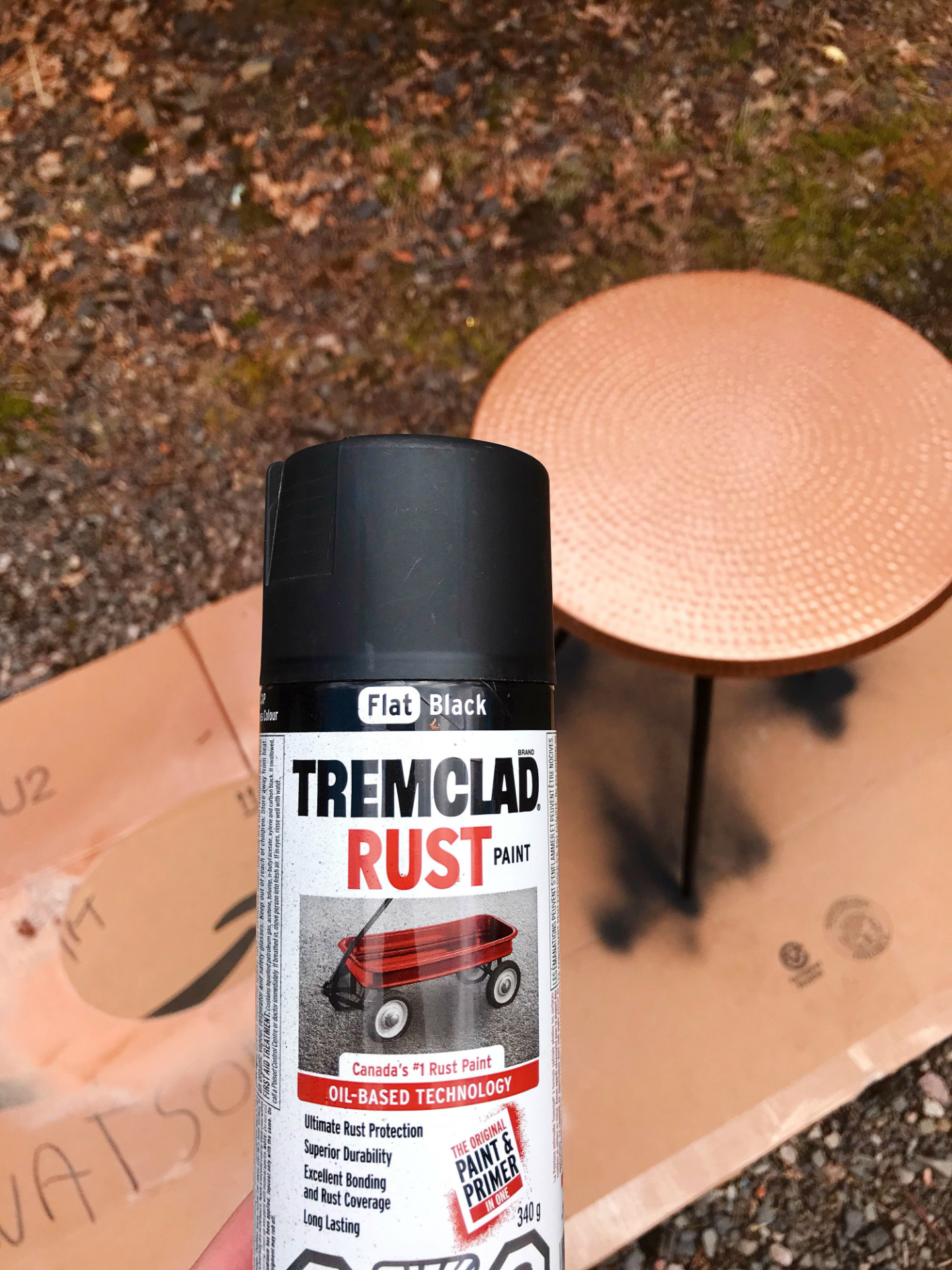 Tremclad Spray Paint Color Chart