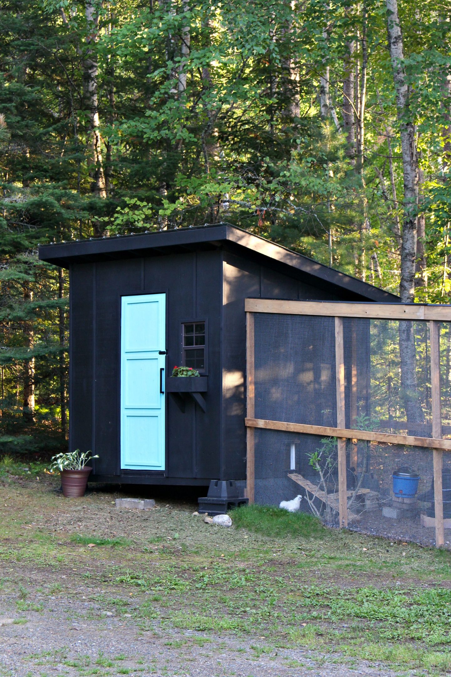 Modern DIY Chicken Coop Chicken Coop and Run Built on a ...