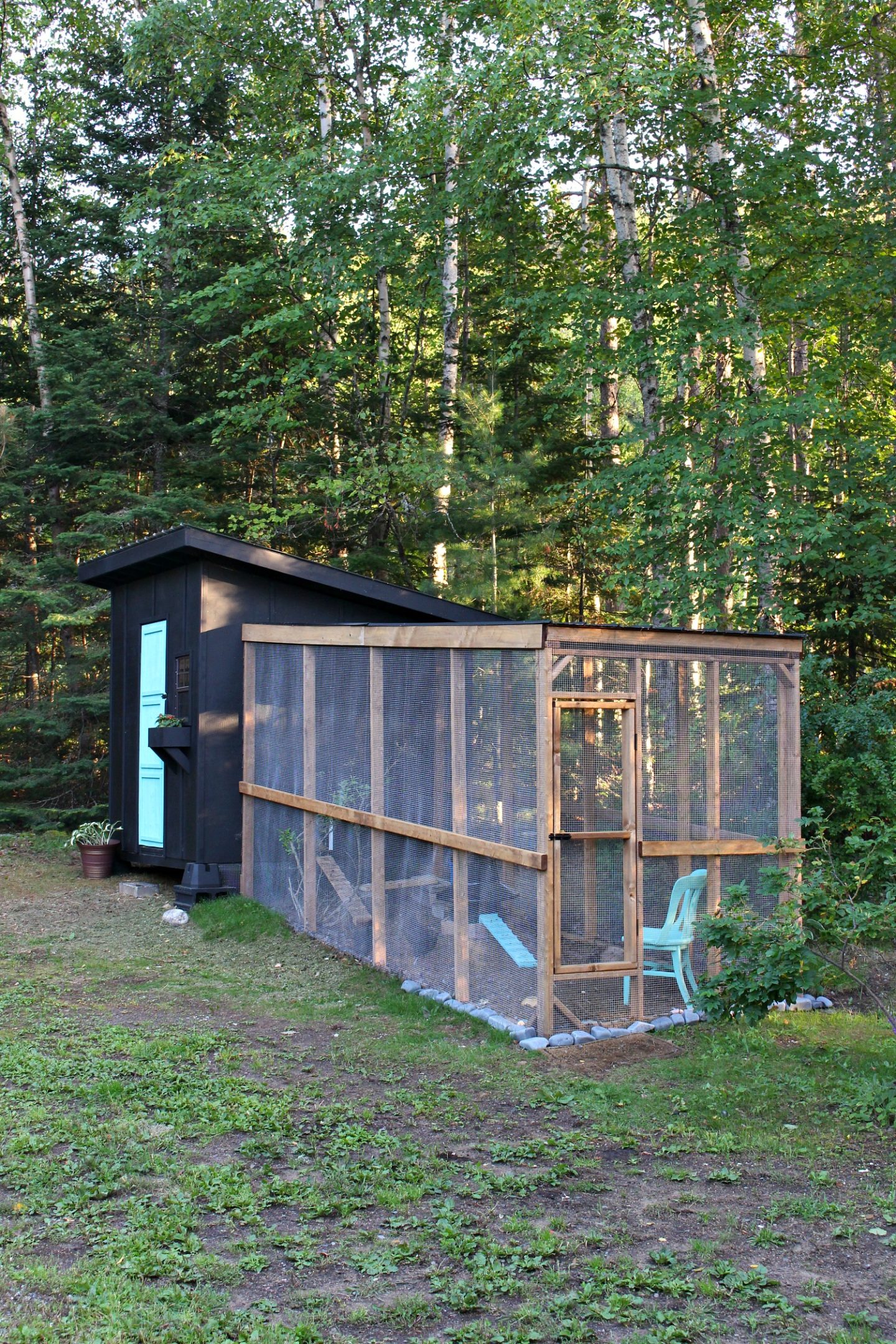 Modern DIY Chicken Coop | Chicken Coop and Run Built on a ...