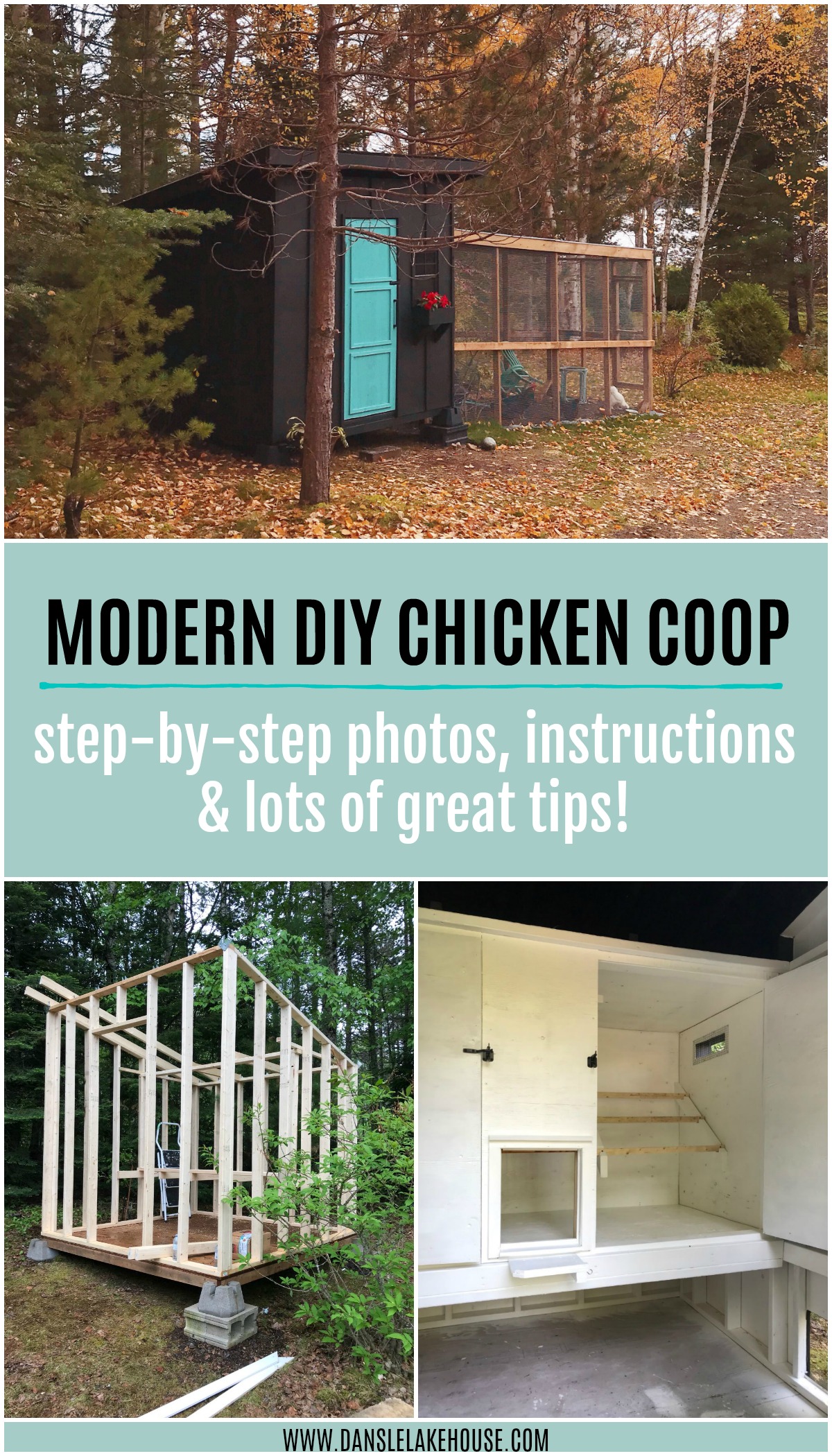 Learn How to Build this Modern DIY Chicken Coop