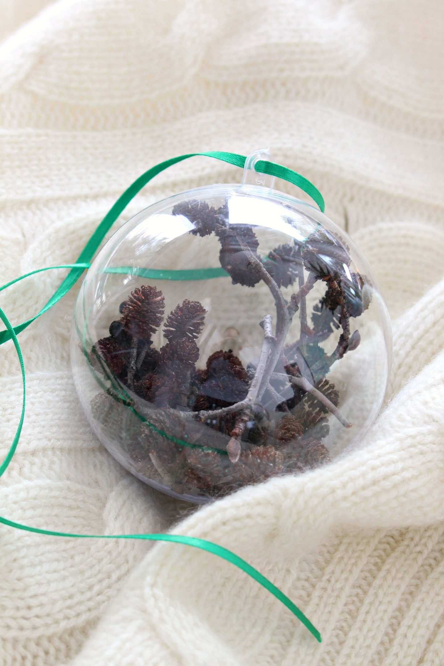 Nature Inspired DIY Ornament | Fillable Ornament Ideas