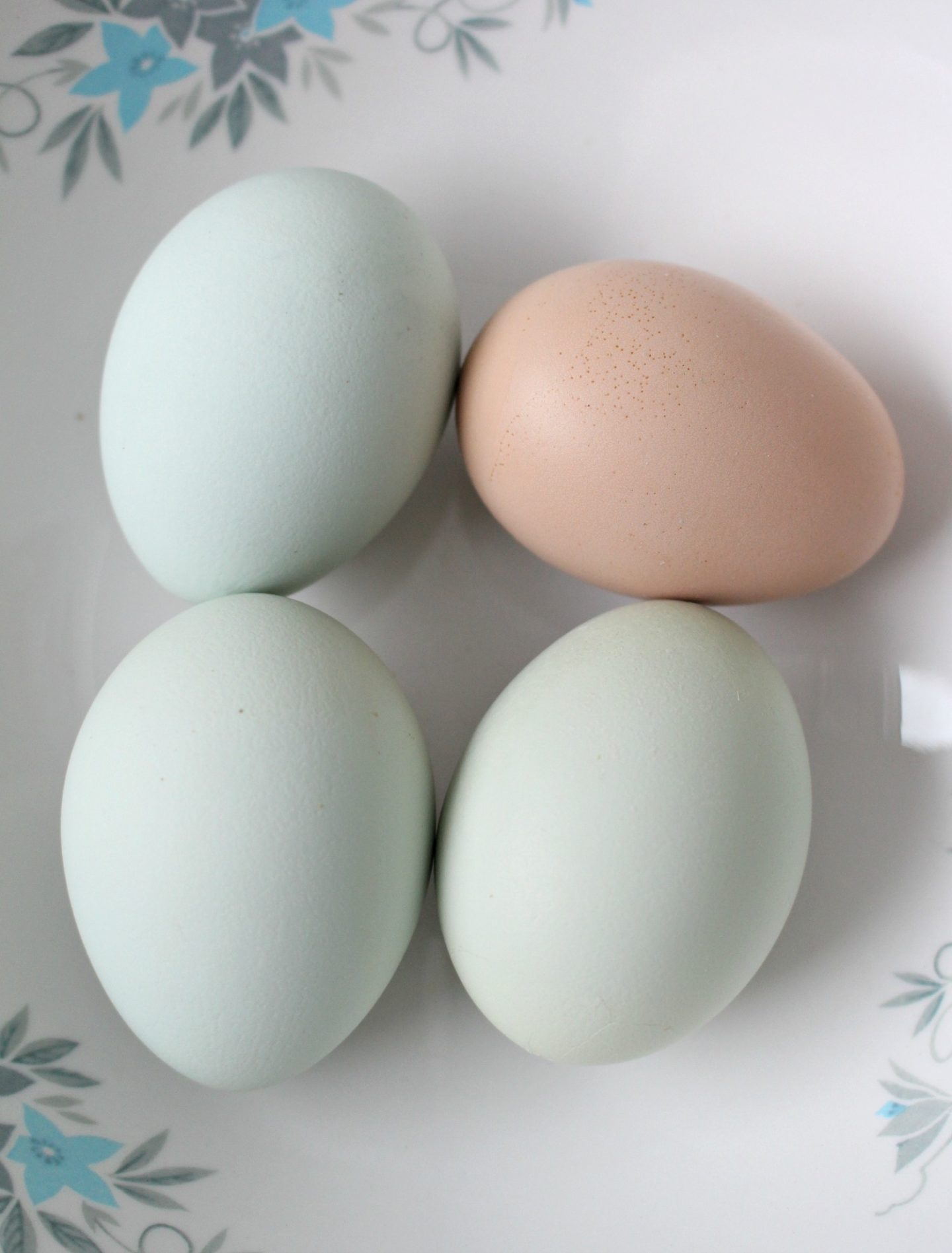 Naturally Blue Eggs