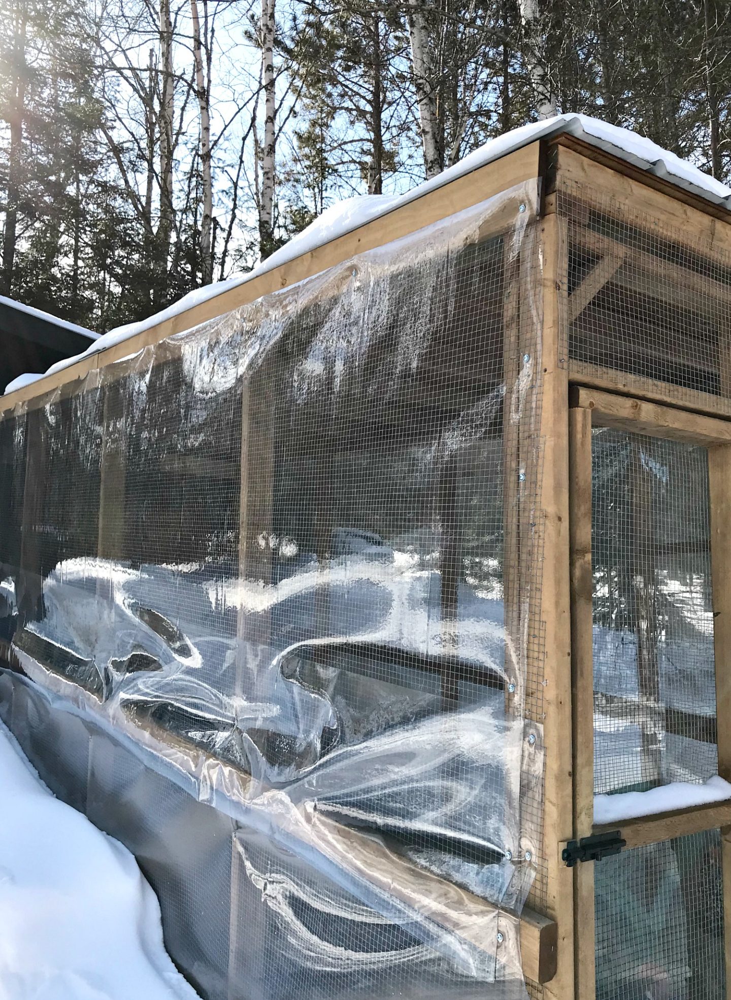 How We Keep Chickens Warm in Extreme Cold Winter Weather