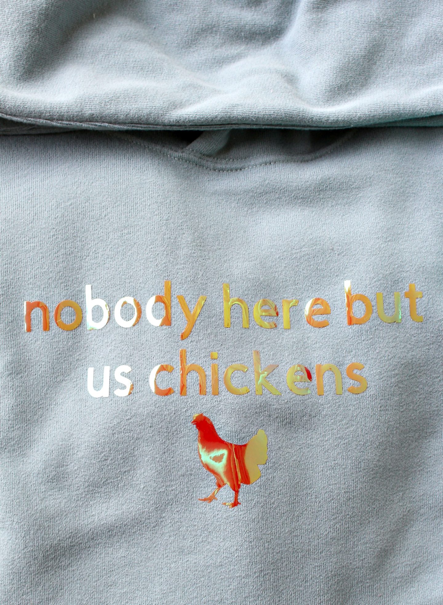 DIY Sweatshirt for Chicken Keepers