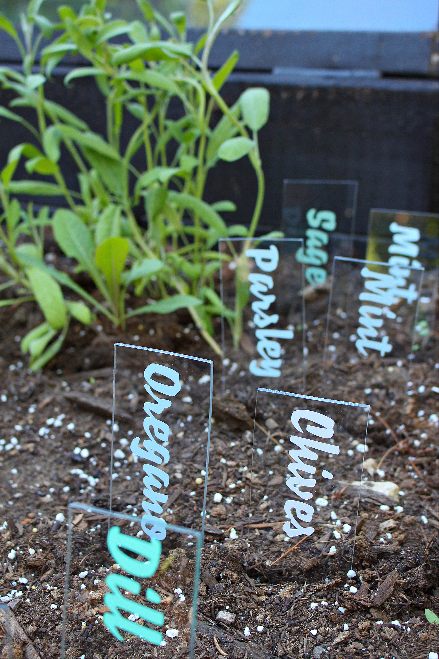 Clear Plastic Garden Markers