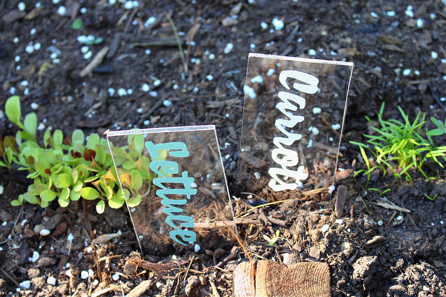 DIY Cricut Garden Labels