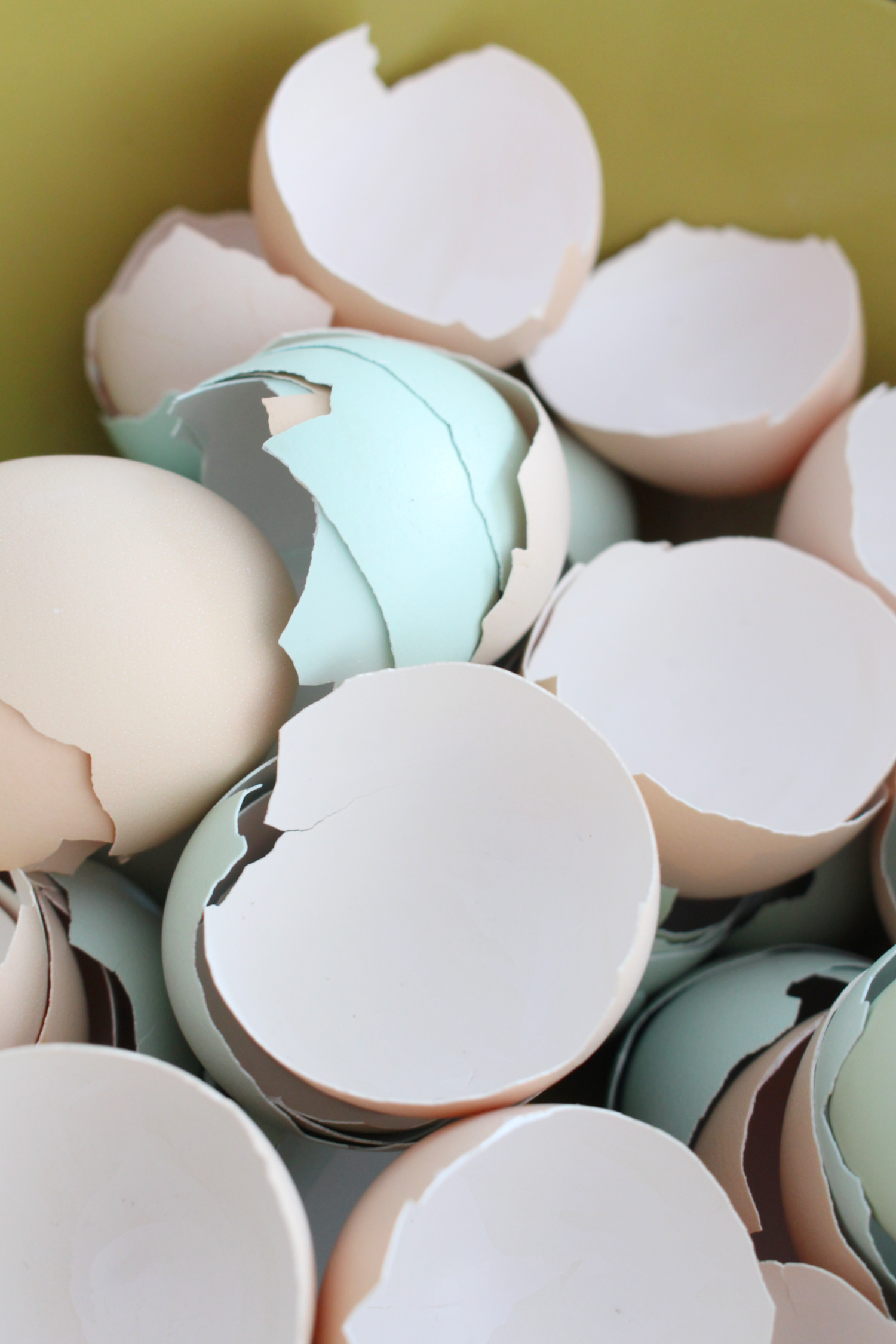 Crafts to Make with Egg Shells