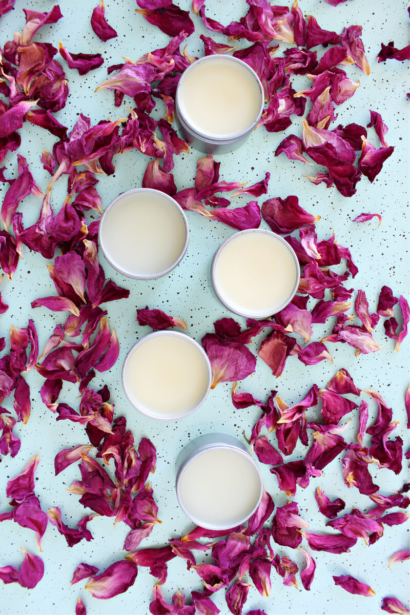 DIY Rose Petal Salve + DIY Rose Lip Balm (Rose Petal Infused Oil