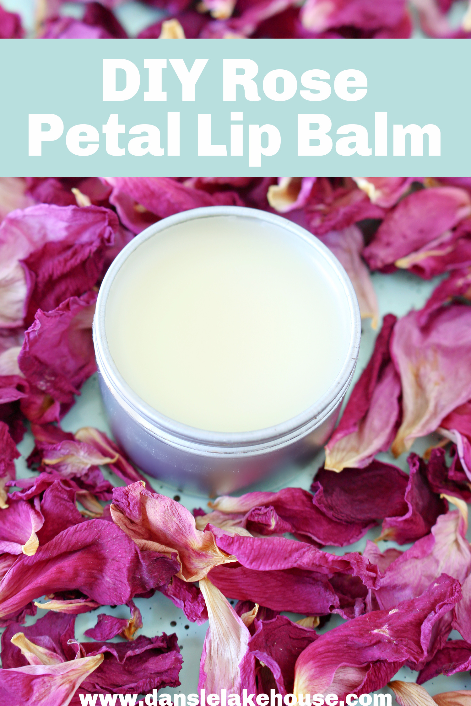 DIY Rose Petal Salve + DIY Rose Lip Balm (Rose Petal Infused Oil)