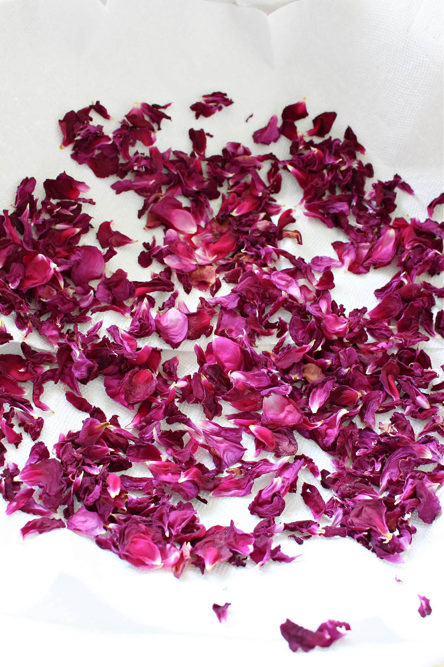 DIY Dried Rose Petals