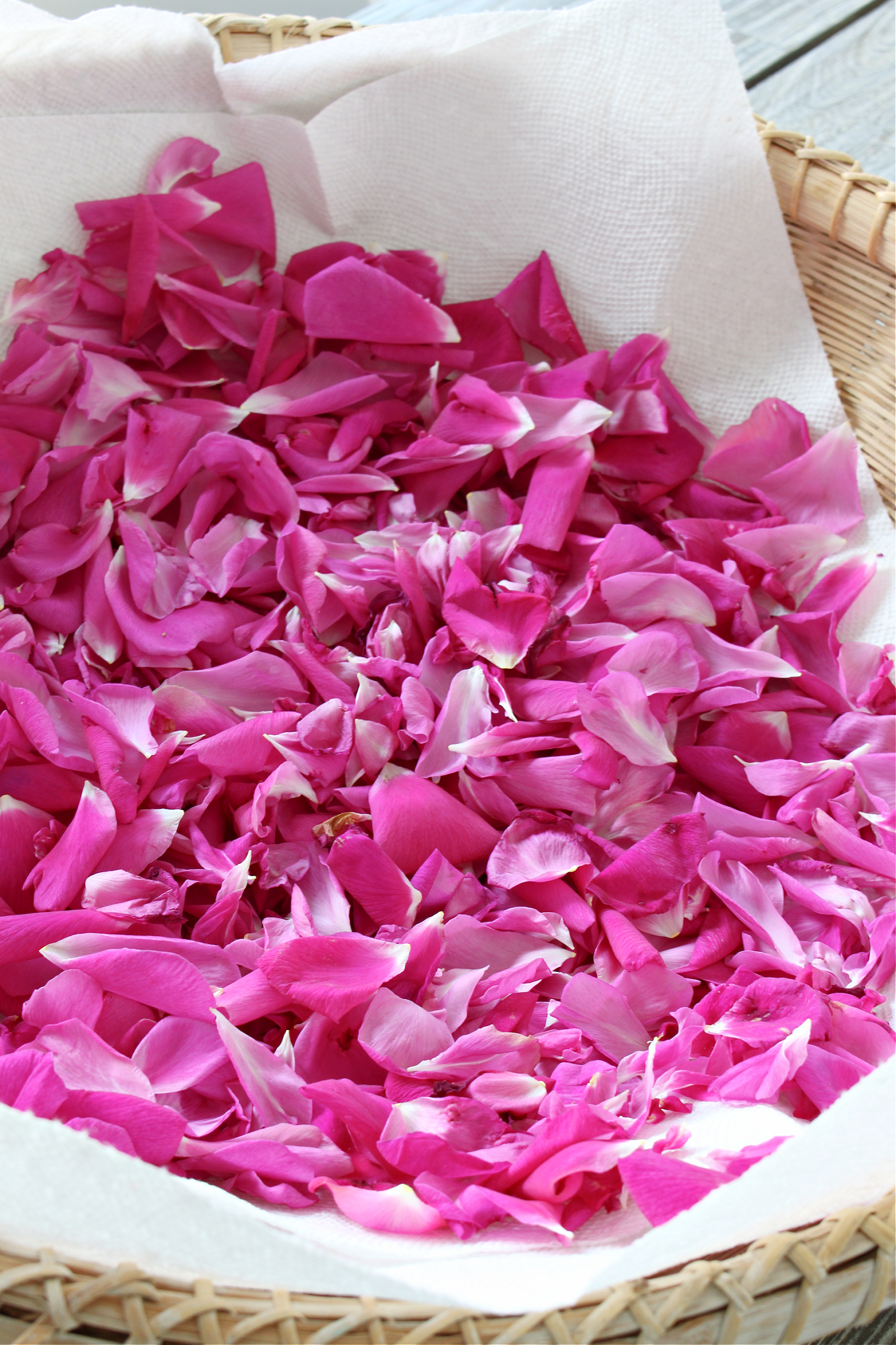 How to Dry Fresh Rose Petals