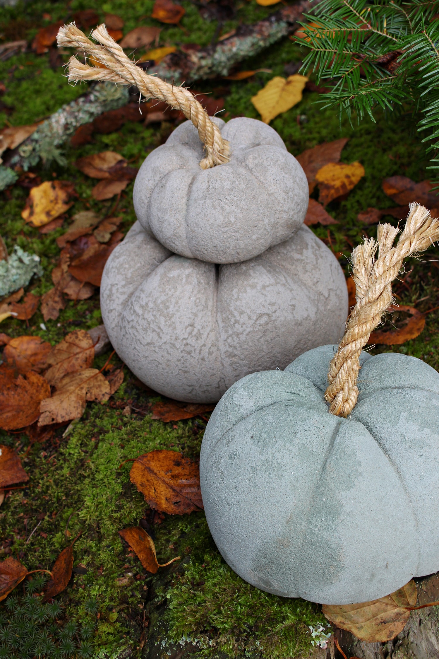 DIY Concrete Pumpkins With Dyed Concrete Dans Le Lakehouse DIY Concrete Pumpkins With Dyed Concrete Dans Le Lakehouse