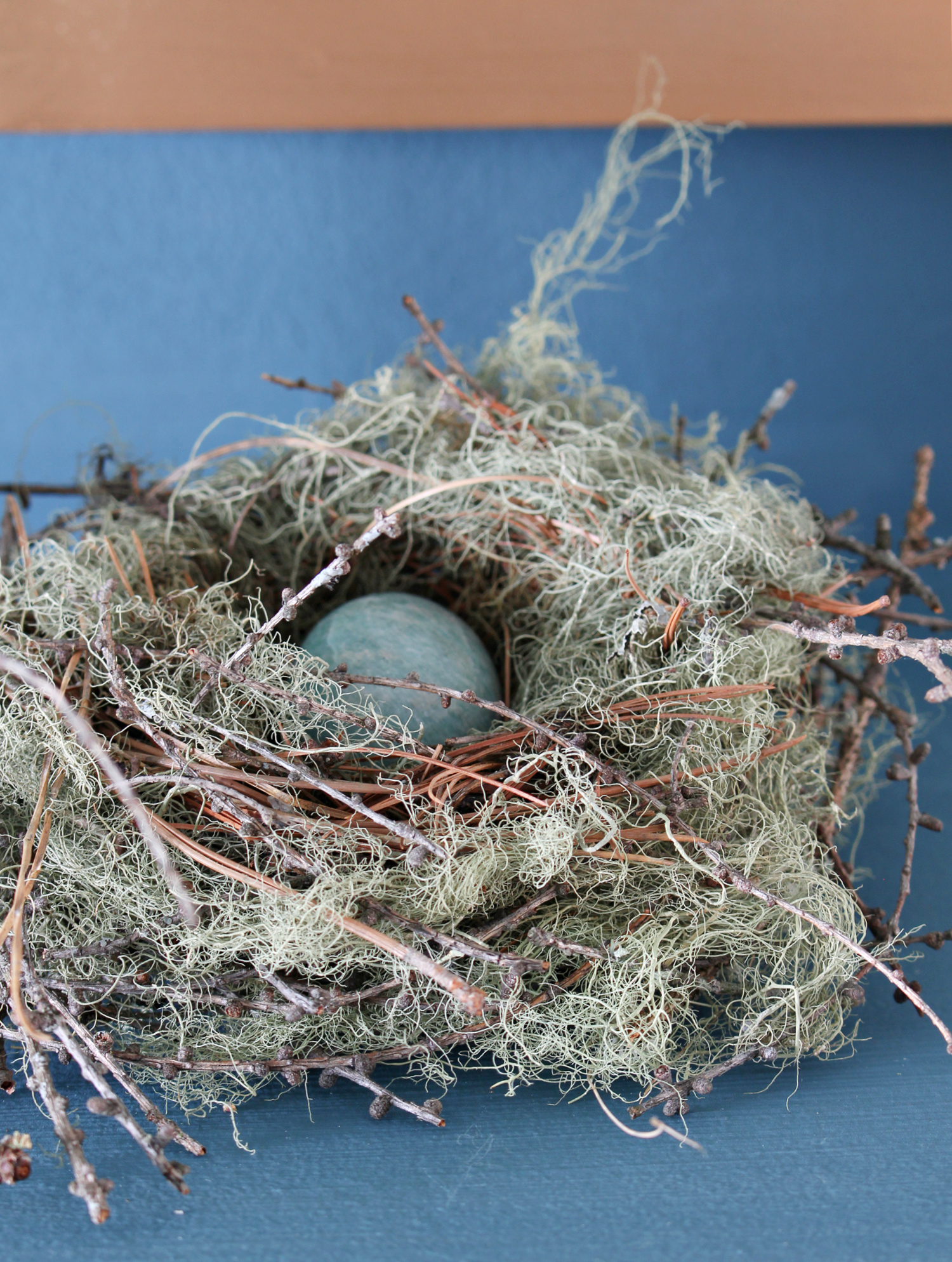 Moss Bird's Nest Used for Decor