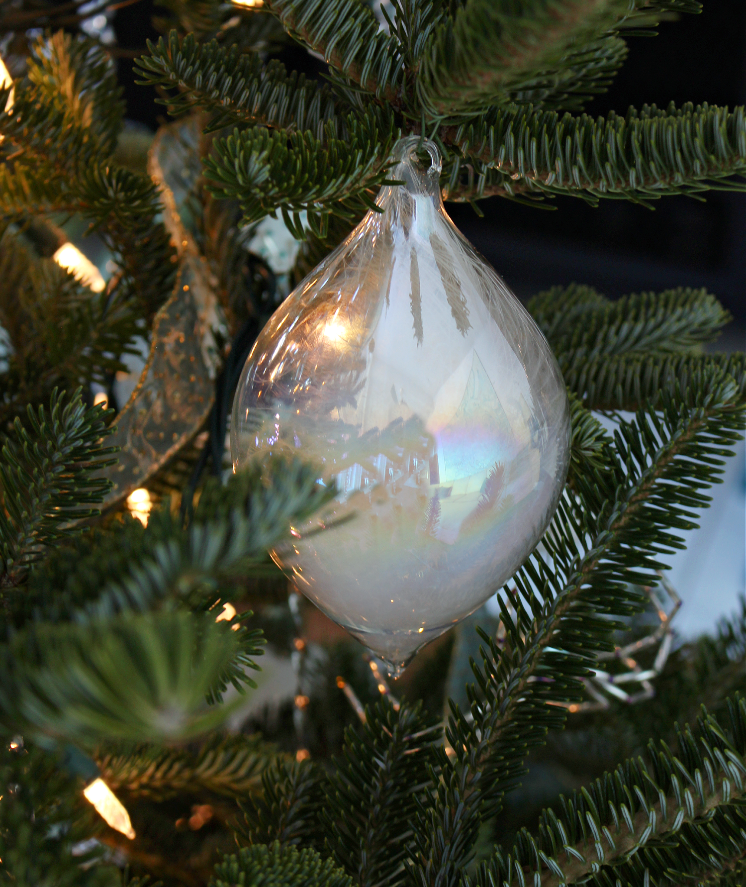 White Feather Inside Glass Ornament